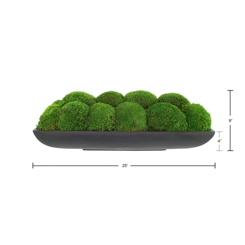 Moss Preserved in Oblong Planter, 9" H x 25" W x 10.5" D