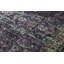 Maharaja Wool Oriental Area Rug in Purple/Brown