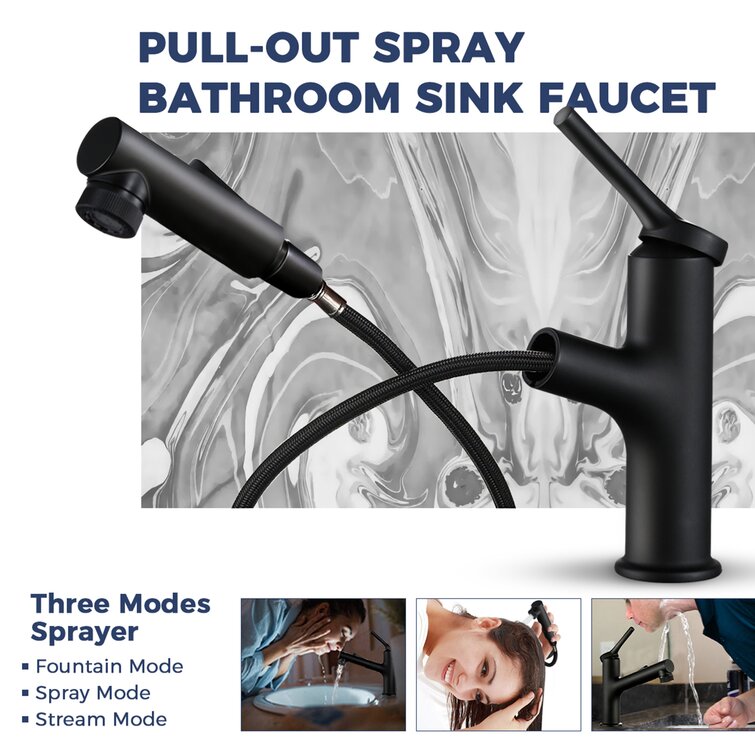 Bathroom Sink Faucet with Water Fountain & Pull Out Sprayer