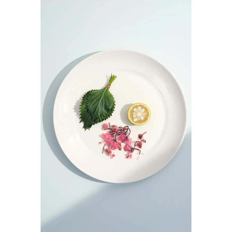 S/4 Large Plate, White