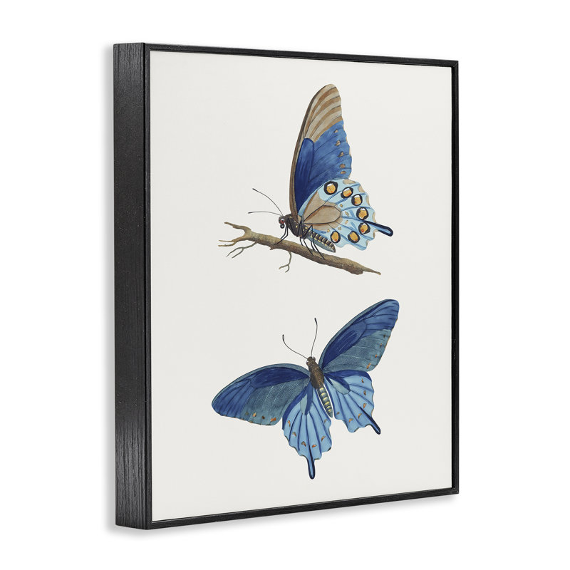Paire de papillons bleus, estampe numérique, design par Arlington Prints, H 14 po x l 11 po, Giclée encadrée noir minuit