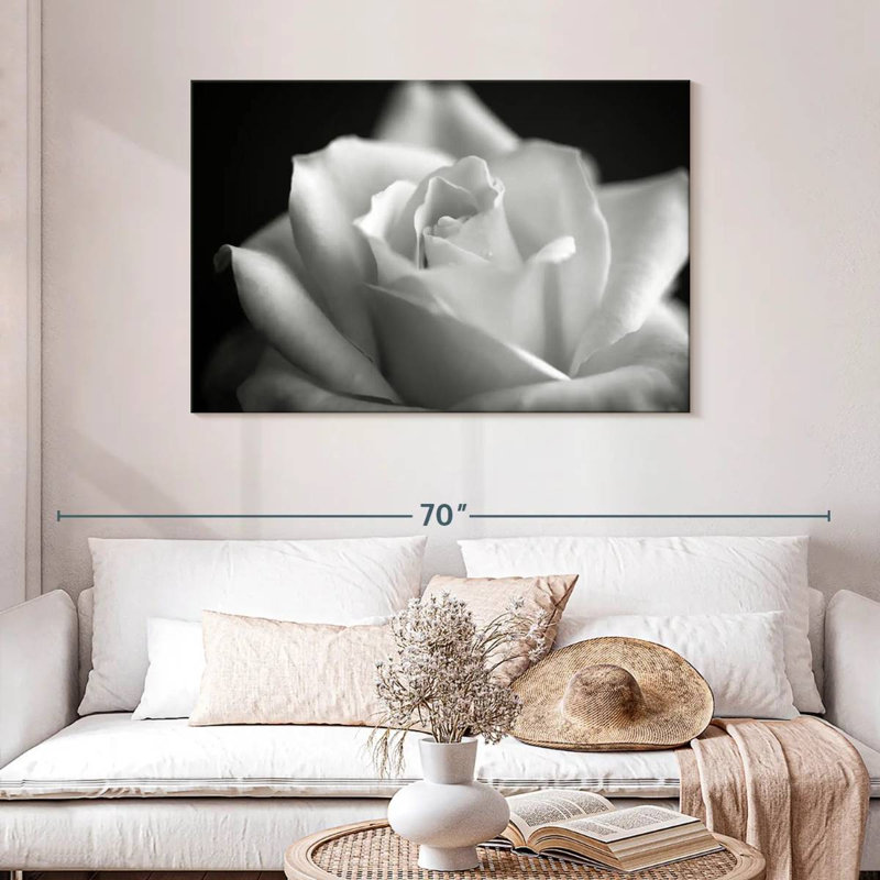 Rose blanche Harnek BW, H 30 po x l 45 po