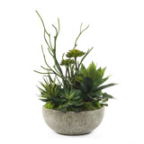 23'' Faux Succulent in Concrete Planter