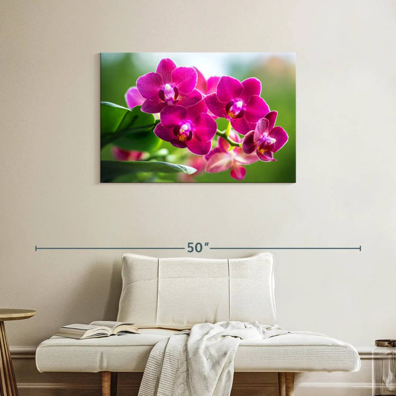 Harnek Pink Moth Orchid Blooms, 24" H x 36" W