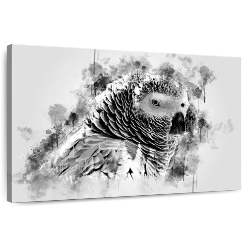 Brampt African Grey Parrot Black And White