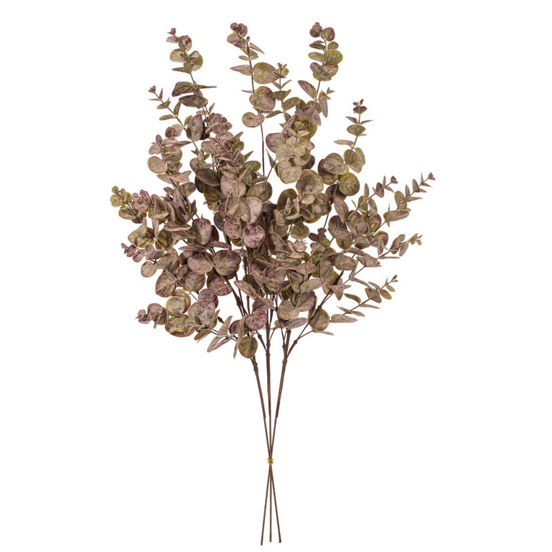 34 plantes