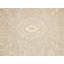Bonview Oriental Area Rug in Silver