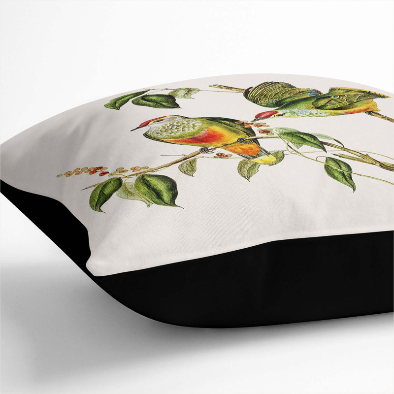 Swainson's Fruit Pigeons by Elizabeth Gould Cushion with Filling, 55cm H x 55cm W x 20cm D, Black