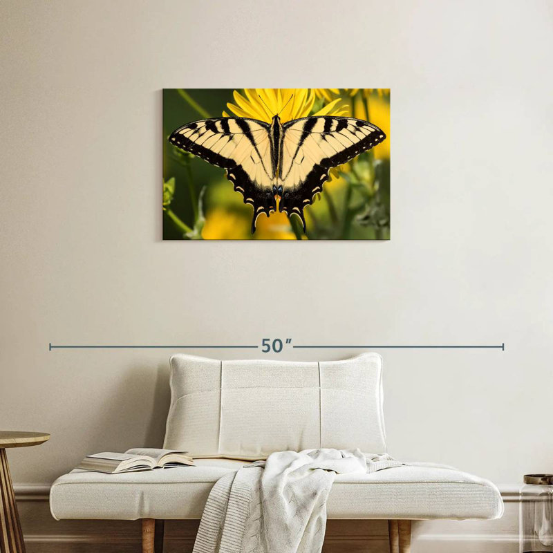 Perched Swallowtail Butterfly, 20" H x 30" W