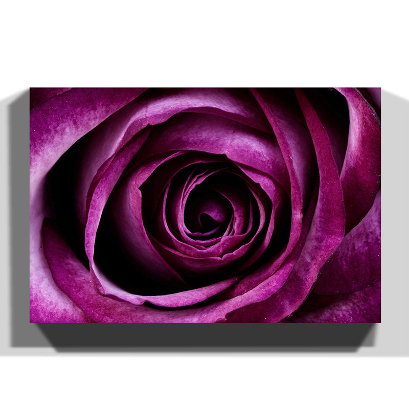 Wrapped Canvas Print, 35cm H x 50cm W