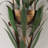 Artistic Floral Wall Light: 6 - Light Greenery Design