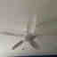 Customer photo 2 of 3