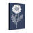 Plants &Flowers White Daisy On Navy Background-1592253539