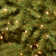 National Tree Company Dunhill Fir Tree with Dual Color LED Lights and PowerConnect