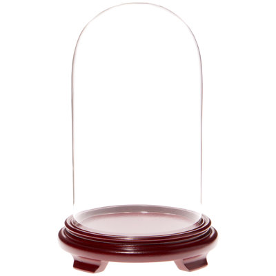 Cloche à dôme en verre 5,5 "x 10" Keiarra