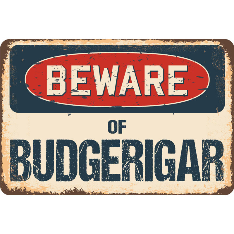 Panneau Auster Beware of Budgerigar, H 8 po x l 12 po x P 0,1 po