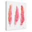Plumes juvéniles, art sur toile-47479045