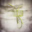 Bicycle Metal Garden Wall Planter-1526543293