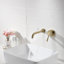 Robinet de meuble-lavabo mural avec égouttoir escamotable-115745107