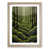 Oak Framed