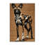  Tapis lavable pour chien sauvage africain-1261586634