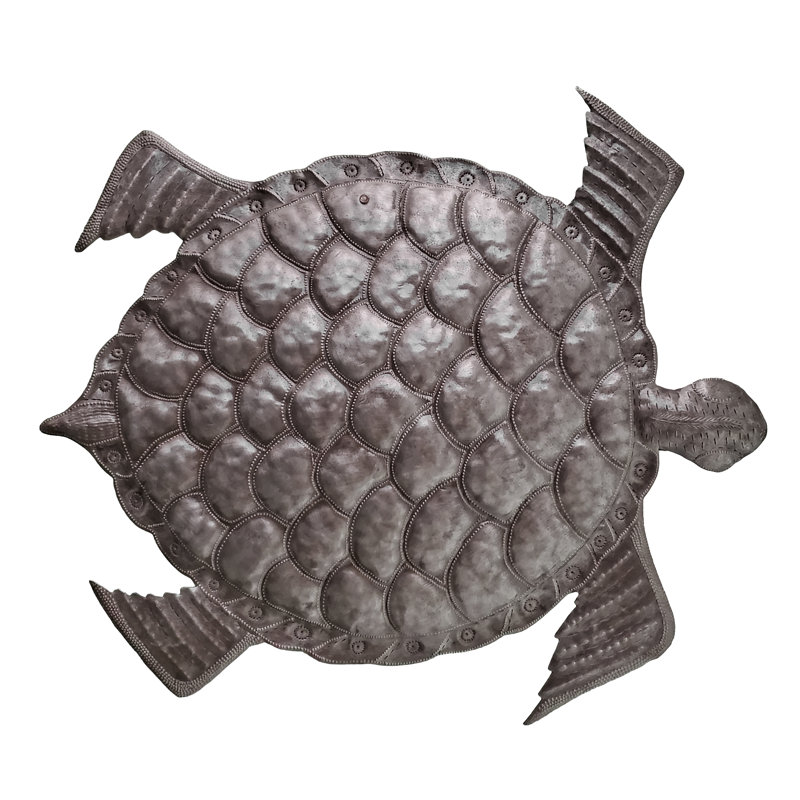 Grande tortue de mer Dacosta