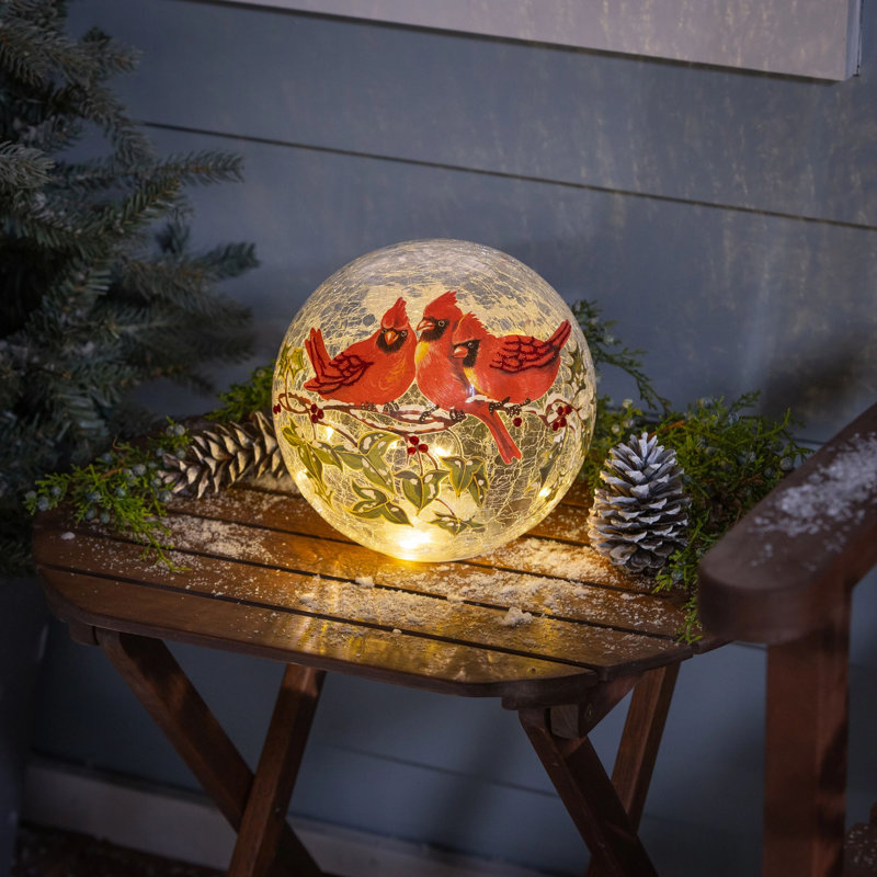 Boule décorative « Oiseaux des neiges », en verre, avec DEL, motif cardinal, 20 cm