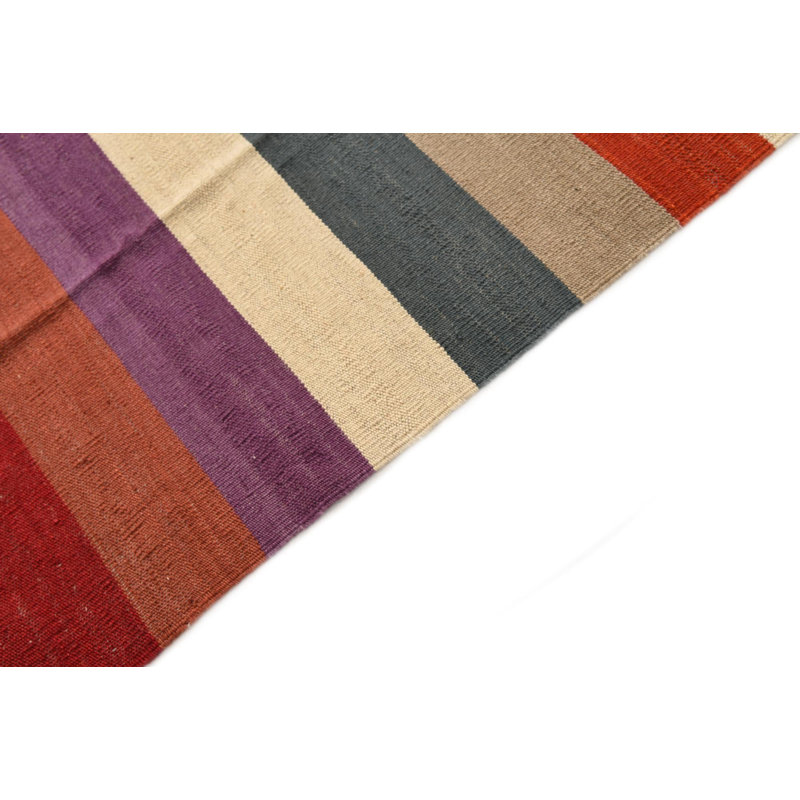 8x11 Petrella Multi Rug