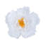 Rond de serviette Jacque-1051504268