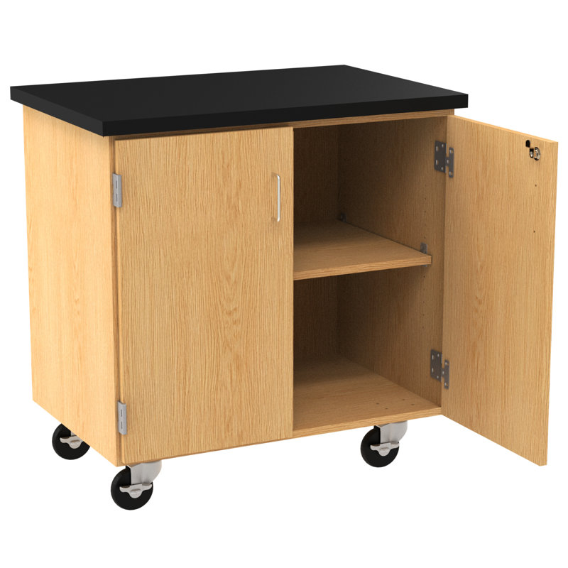 Armoire de rangement mobile diversifiée Science Classroom, l 36 po x P 24 po x H 36 po, 2 portes verrouillables, tablette réglable, plateau ChemGuard, roulettes, fabriquée aux États-Unis