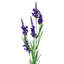 Plastic, Silk Artificial Arrangement