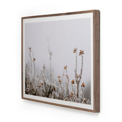 Aleid " In The Details II " by Annie Spratt