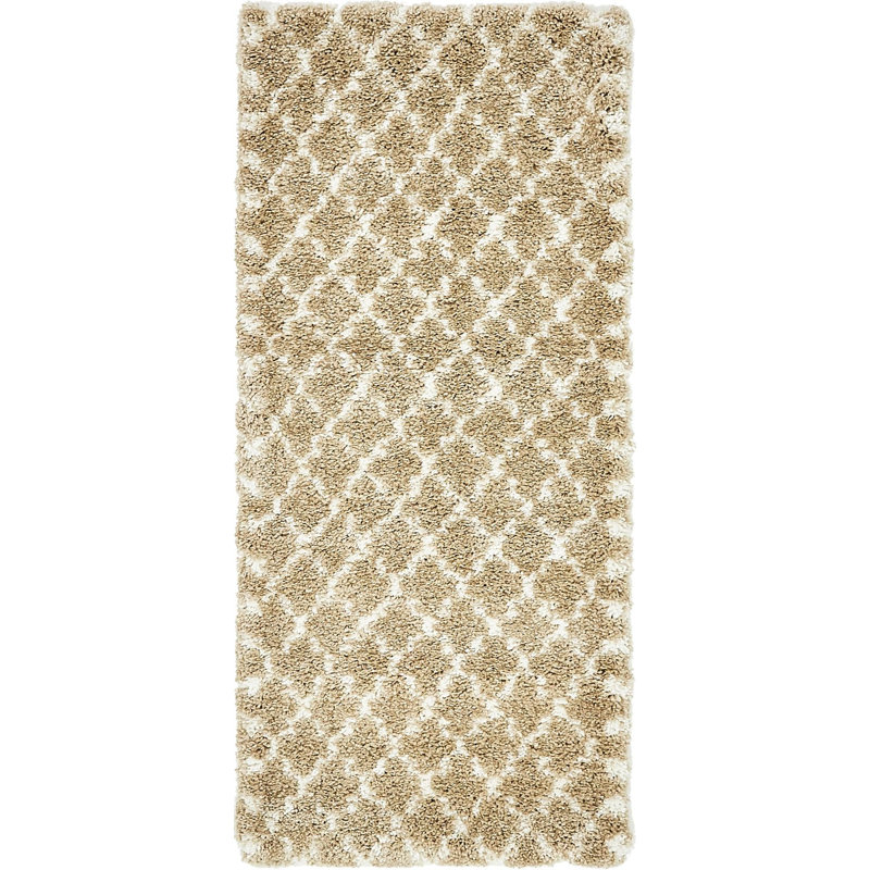 Burkart Shag Area Rug, Runner 79 x 183cm