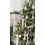 Old Country Roses Christmas 20.7cm