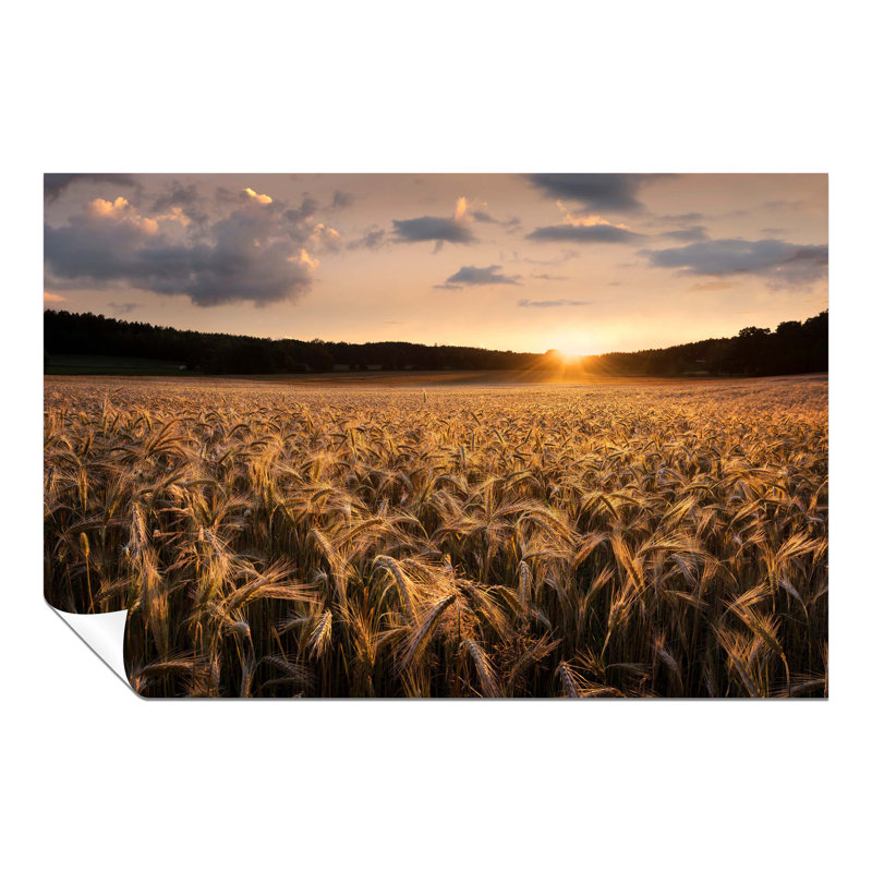 Golden Sunset On Wheat Field - No Frame Print, 76cm H x 51cm W x 1cm D