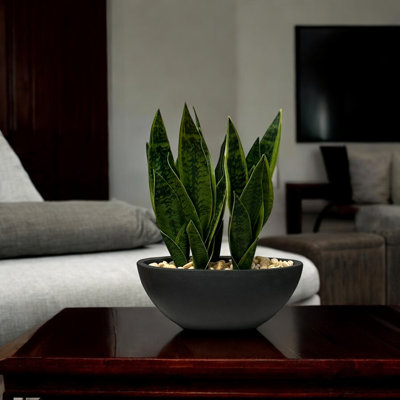 Faux Crestwood plante de serpent en pot oblong 23 po