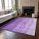 Premium Machine Washable Prisco Purple Rug