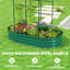Raised Garden Bed-354643277