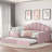 Upholstery Velvet Daybed Frame With Shall Shaped Backrest And Trundle-758530046
