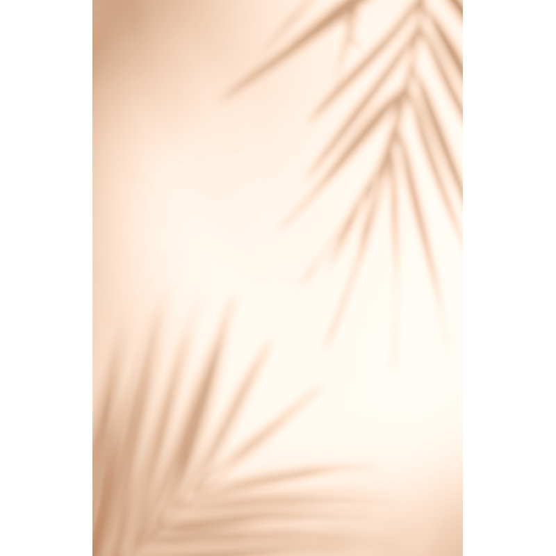 Shadows Of Tropical Palm Leaves by Alina Bitta - Wrapped Canvas Print, 46cm H x 30cm W