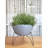 Clent Pot Planter-453852781-509738425