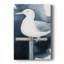 ANIMALS Series III -Custom Wrapped Gallery Cavas-736694832