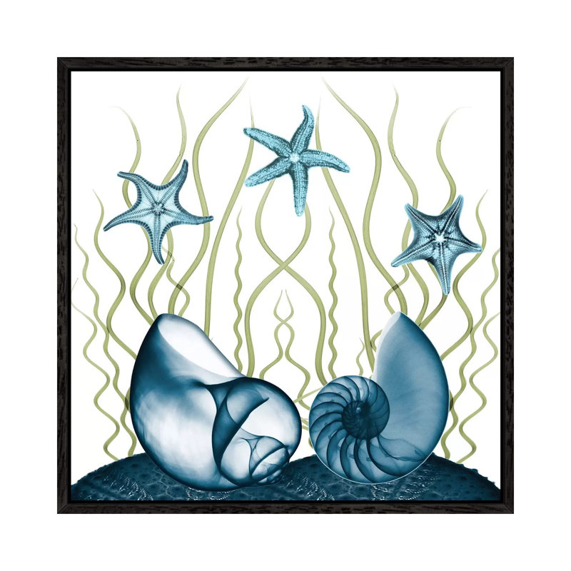 Majestic Sea Floor II by Albert Koetsier - Print on Canvas, 45.72cm H x 45.72cm W x 3.81cm D, Black Framed
