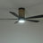  Kasper 52" LED Indoor/Outdoor Ceiling Fan with Uplight, Natural Rattan Cage Ceiling Fan with Light and Remote - Matte Black-10015023-10015020