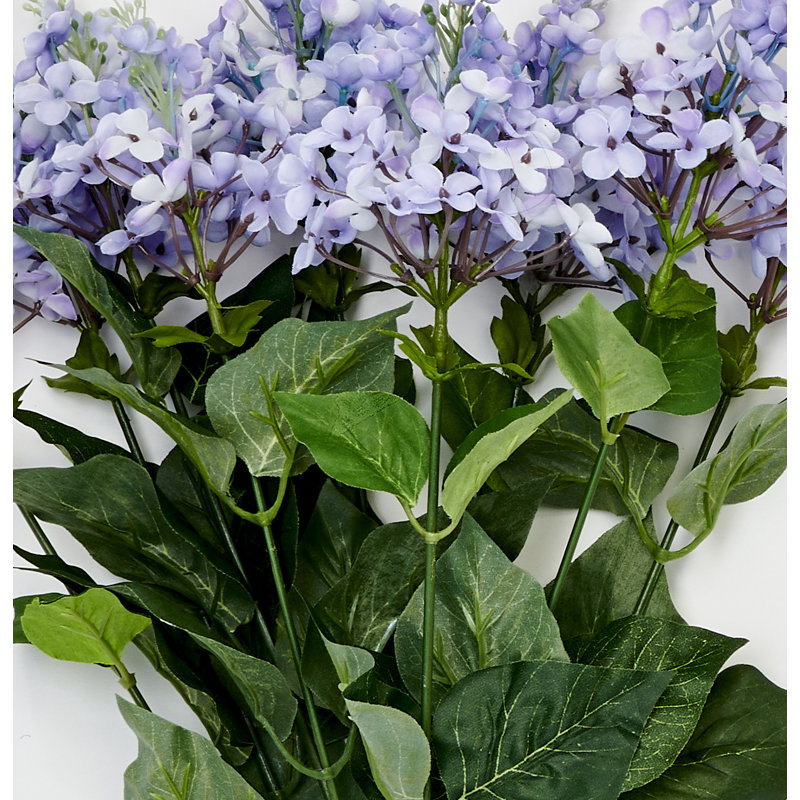 Buisson, Lilas