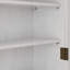 24.8''Glass Door Cabinet-1001184024