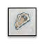 Shuck Yeah, ensemble de 2 impressions-1307532316-1307532317-1307532305