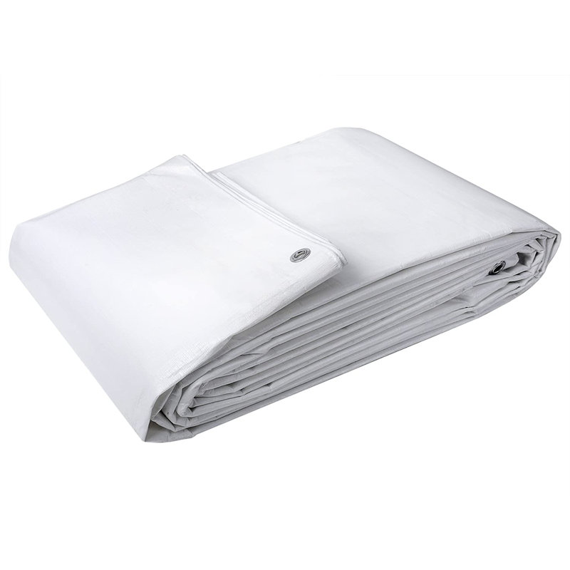 Napanoch Automobile Cover, White, 0.2cm H x 300cm W x 600cm D