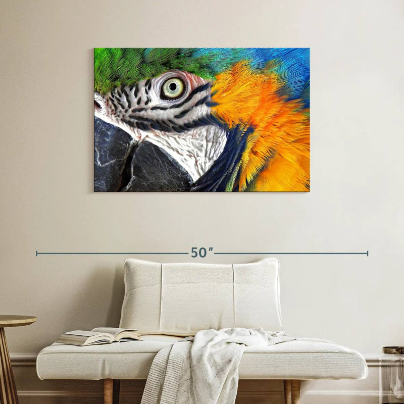 Brampt Macaw Eye, H 26 po x l 39 po