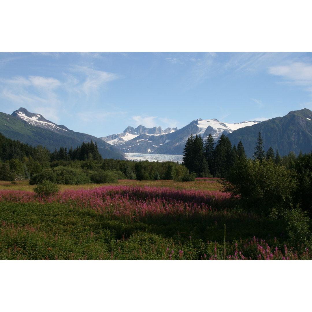 Alaska-Gletscher von Jkullander - Leinwandbild